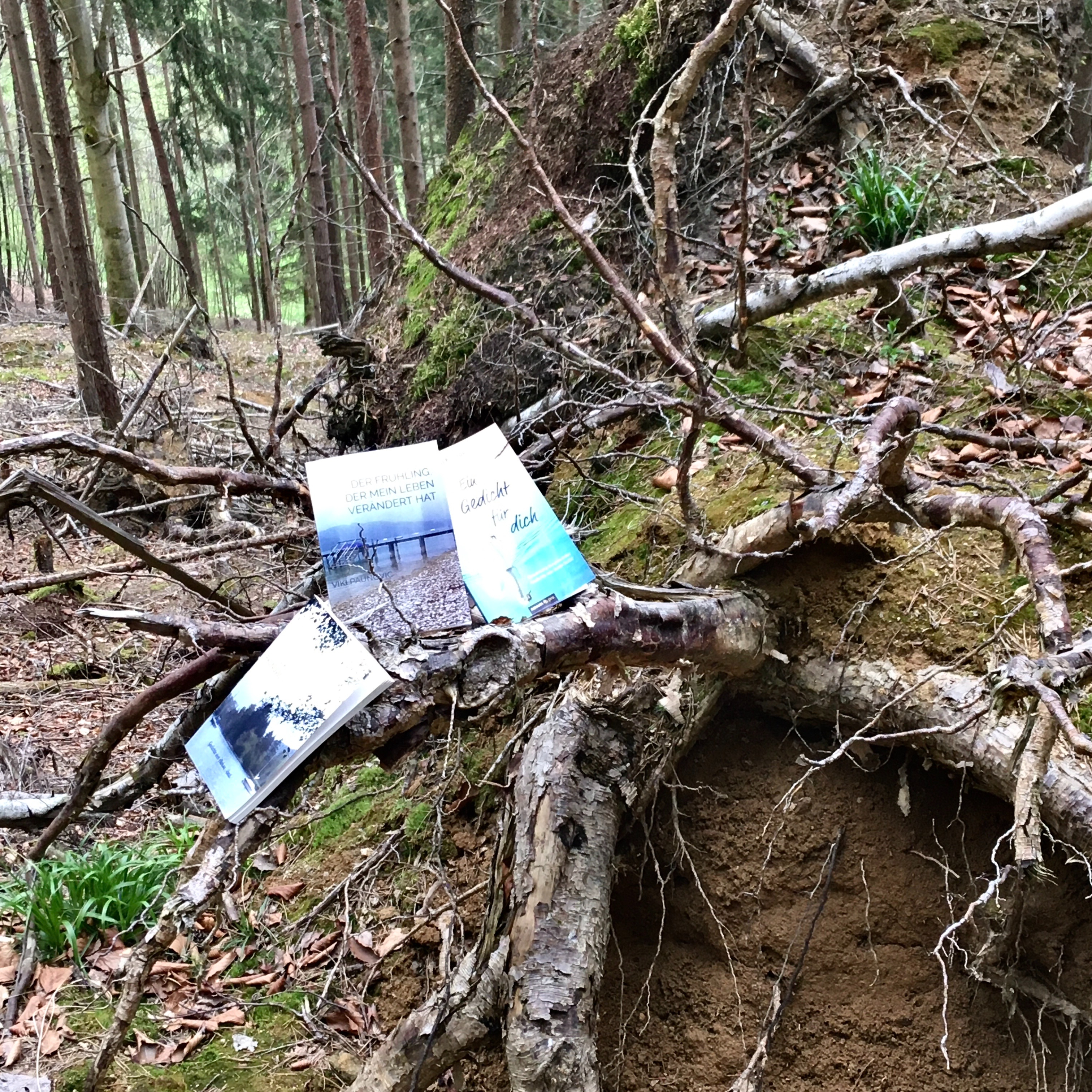 knjige na starom stablu-2